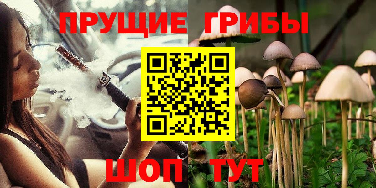 Бор  Псилоцибиновые грибы Psilocybe  купить наркотики сайты  Вход с VPN 
