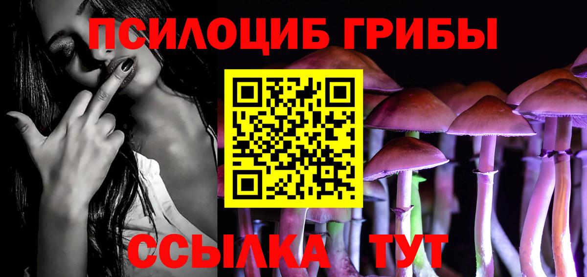 Псилоцибиновые грибы ЛСД Бор